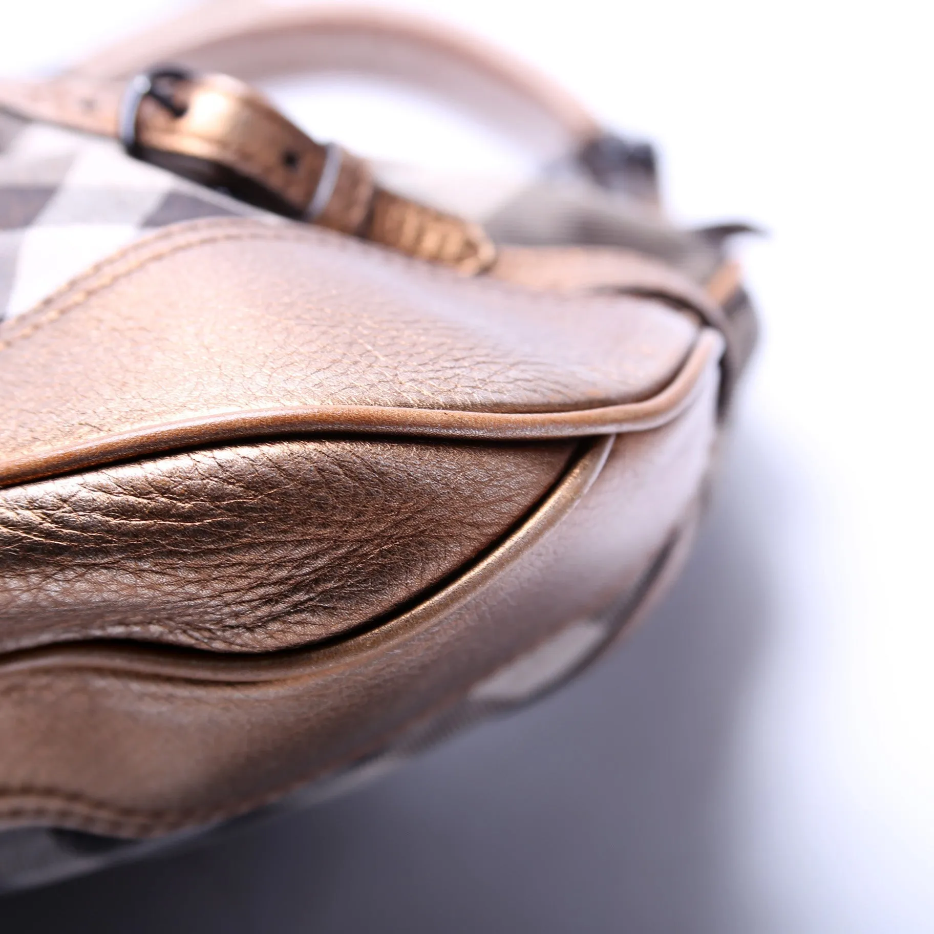 Brooke Hobo Shimmer Check