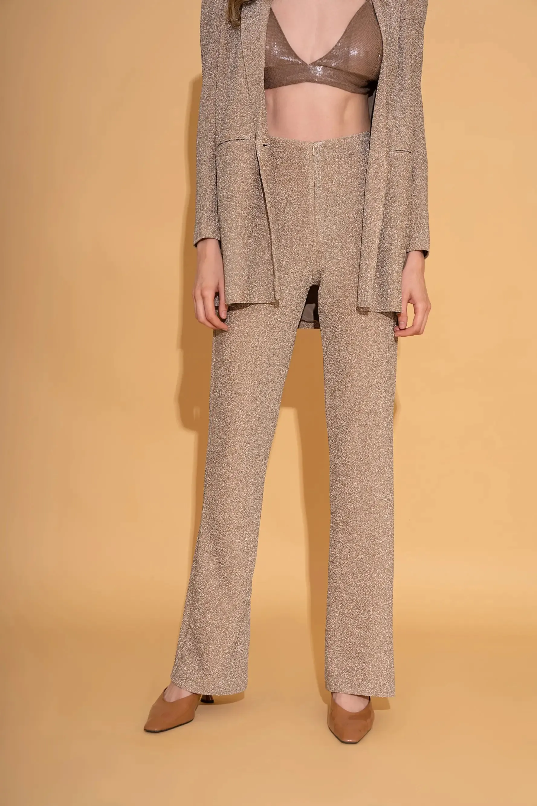 Champagne Shimmer Blazer and Pants Co-ord Set