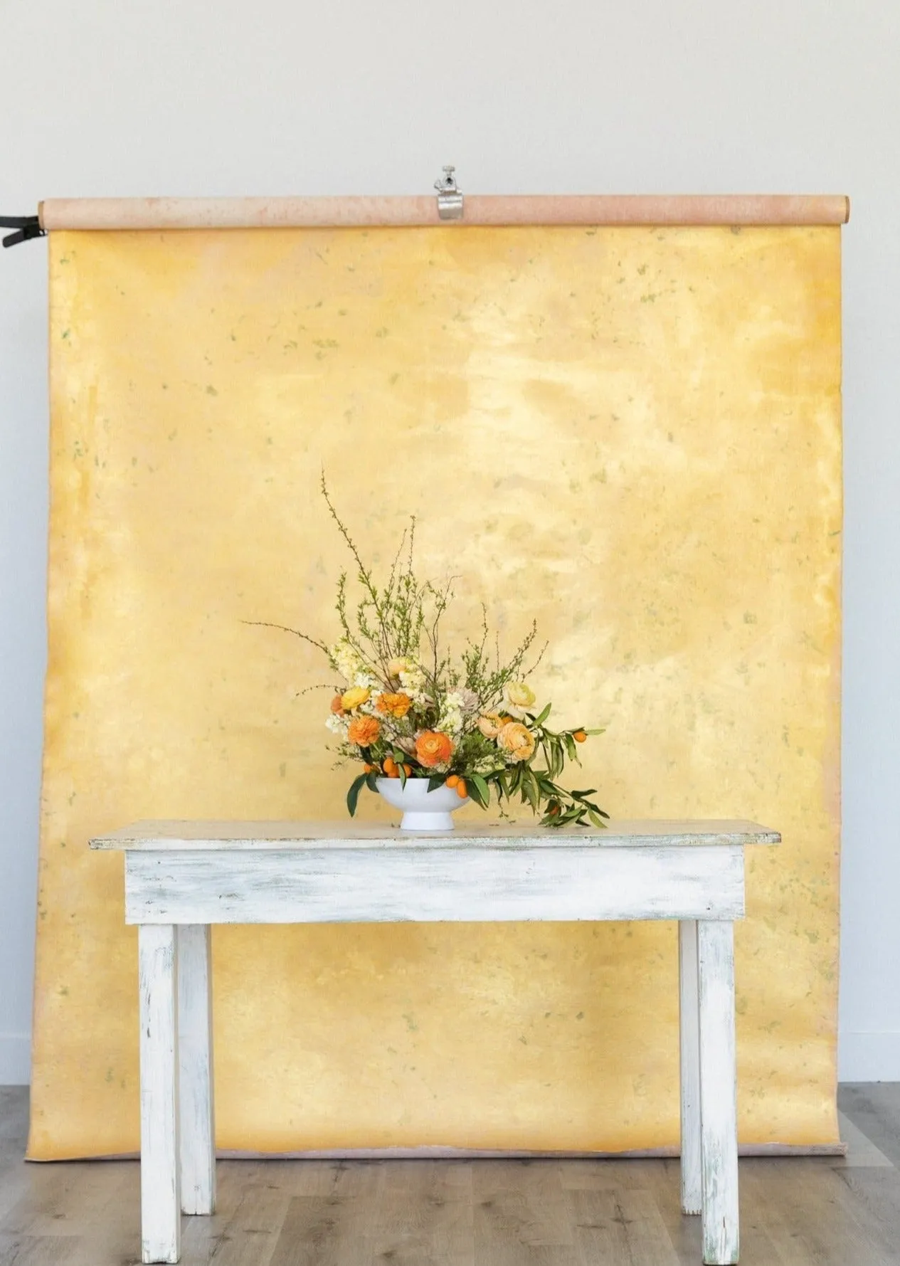 Like a Lion #0451 Medium Hand-Painted Canvas Backdrop
