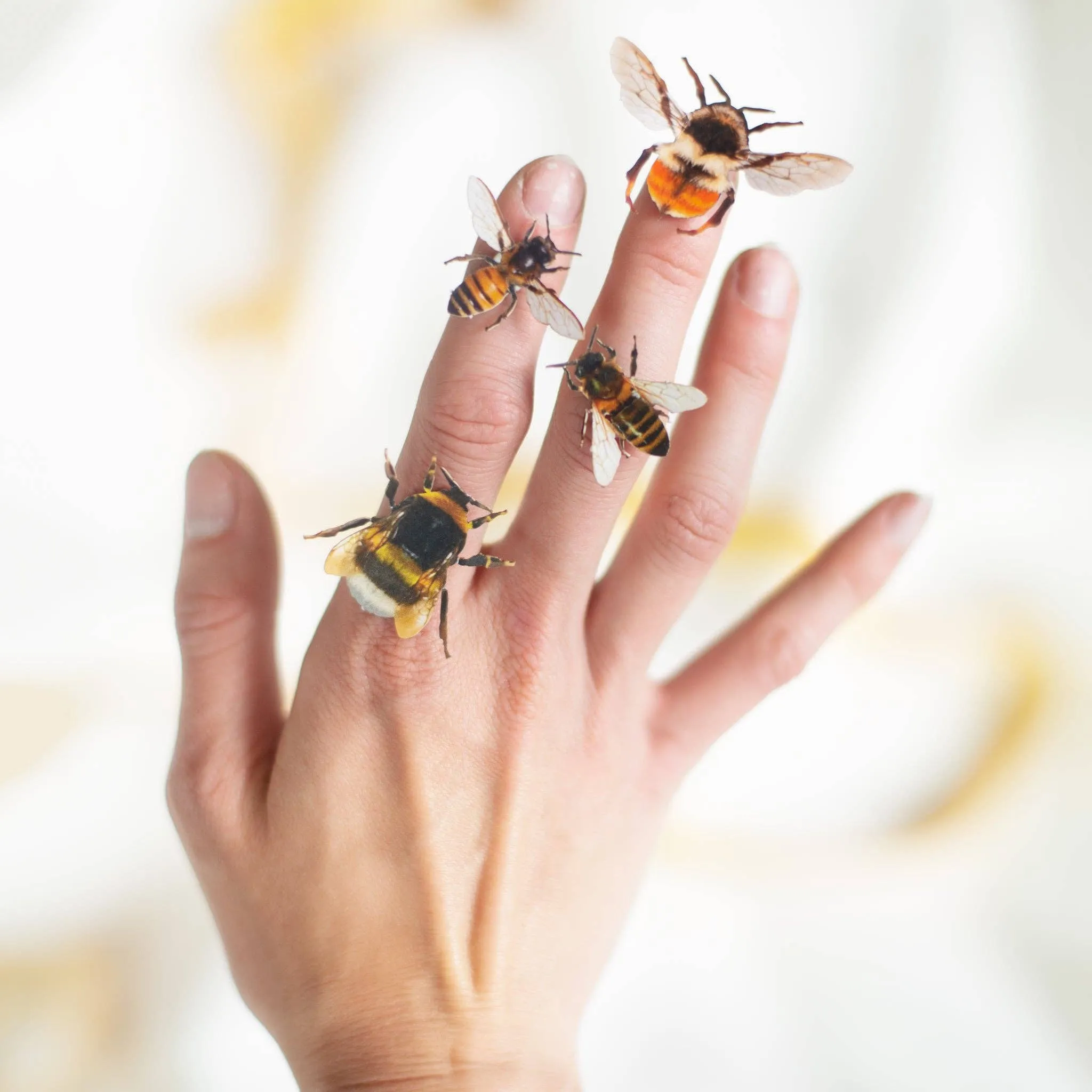 The Bees Knees Collection 12pc Laser Cut Specimens